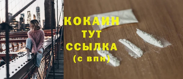 крисы Бронницы