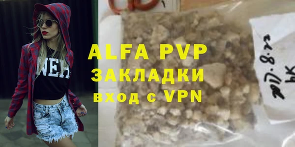 гидра Бородино