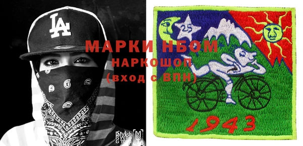 гидра Бородино