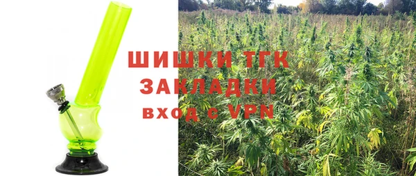 крисы Бронницы