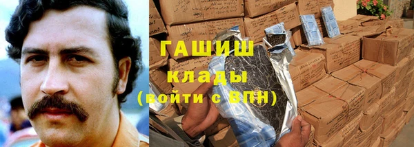шишки Снежногорск