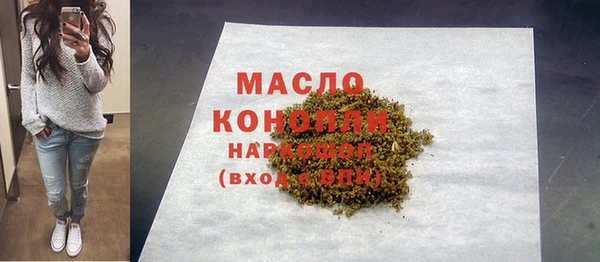 гидра Бородино