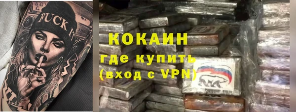 крисы Бронницы