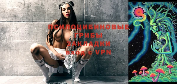 крисы Бронницы