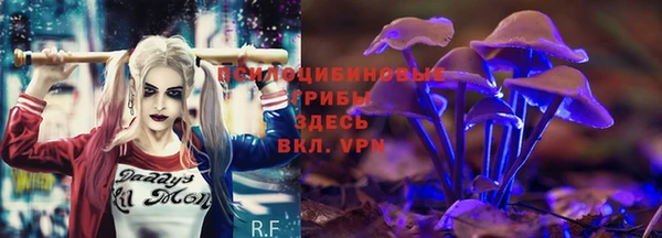 гидра Бородино