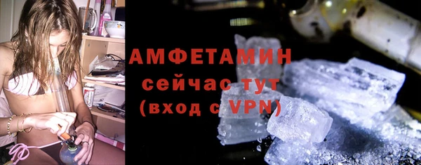 гидра Бородино